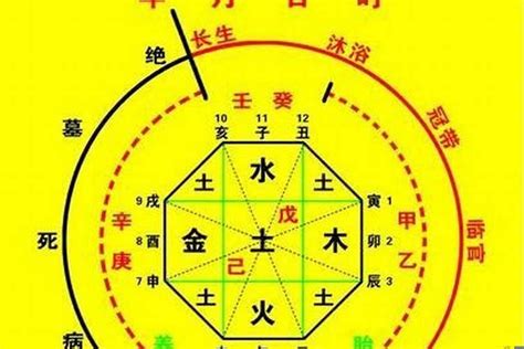 壬 卯五行|生辰八字算命、五行喜用神查询（免费测算）